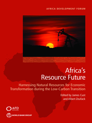 cover image of Africa's Resource Future